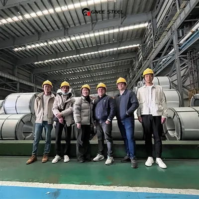 Benvenuti ai clienti indiani per visitare la nostra fabbrica